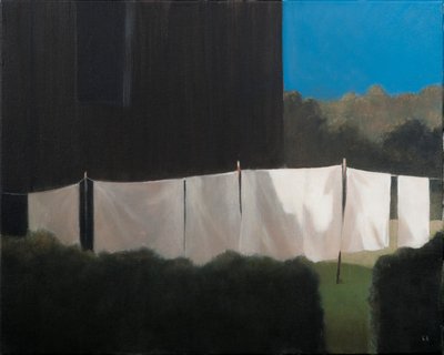 El lavado de Norma, 2012 de Lincoln Seligman